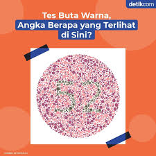 Jawaban dari tes buta warna online diatas. Pekalongan Info Tes Buta Warna Ini Mengharuskan Kamu Menemukan Siluet Angka Maupun Gambar Tersembunyi Bila Sulit Bisa Jadi Itu Tanda Buta Warna Sebaiknya Cek Ke Dokter Apa Jawaban Kamu
