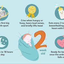 Your 2 Week Old Baby Development Milestones