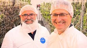 Aphria-Aktien brechen aufgrund schwacher internationaler Umsätze ein