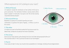 Blue light contributes to digital eye strain. Uv And The Effects On The Eye Jenson Ledingham
