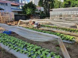 How the pandemic changed the life of a jeweler • PhilSTAR Life