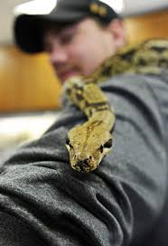 Students help other students focus