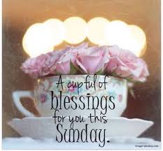 Birds Chirping In The Morning Quotes Hi I Can Hear The Birds Chirping Outside Have A Wonderful Sunday Morning Enjoy Your Lord S Day Happy Sunday Quotes Sunday Morning Quotes Sunday Quotes