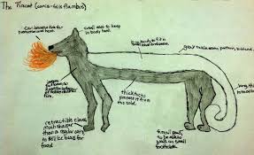 Hello Learning Animal Adaptations Animal Adaptations Activities Animal Adaptations Projects