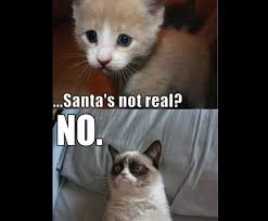 Maybe you would like to learn more about one of these? 2012 S Best Of Grumpy Cat Christmas Gallery