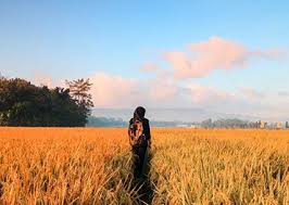 Check spelling or type a new query. Pin Oleh Corporate Hippies Di Http Corporatehippies Online Liburan Thailand Dunia