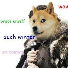 Pin By Zeta On Funny Animals Funny Meme Pictures Dog Memes Funny Pictures