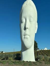 Greg Eidam II (Master Distiller at Sugarlands) and Marc Potash took a tour  of Donum Vinyard in Napa. We can learn something from all beverage making  to improve our products. The art