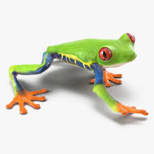 Red Eyed Tree Frog Pose 2 3d Model Tree Eyed Red Model 3dsmaxmodels Modernresumetemplate Resumetemplates Redeyedtreefr In 2020 Red Eyed Tree Frog Tree Frogs Frog