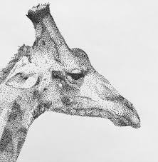 Black Dot Creations (@blackdotcreations) • Instagram photos and videos