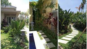Taman Tropis Taman Vertikal Jenis Taman Tanaman