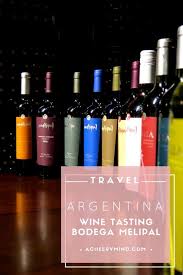 Argentina Travel Guide Bodega Melipal A Vineyard In Lujan De Cuyo Wine And Spirits Wine Travel Wine Travel Destinations
