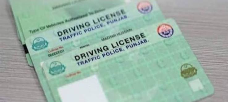 Punjab Driving Licence