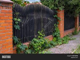 Wood fence with brick columns. Beautiful Decorative Image Photo Free Trial Bigstock