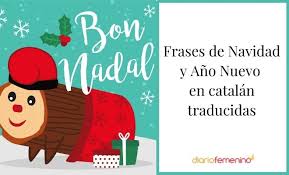 William shakespeare, en una de sus frases ingeniosas sobre el potencial del ser humano. Bon Nadal Frases De Navidad Y Ano Nuevo En Catalan Para Sorprender