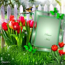 How to use the imikimi old frames? Imikimi Zo Spring Frames Tulips Alma50 Spring Alma50