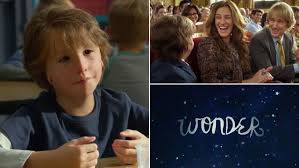 They may be set by us or by third party providers whose services we have added to our pages. Julia Roberts Chats How New Film Wonder Deeply Affected Her And How Facially Disfigured Character Auggie Is Her New Hero