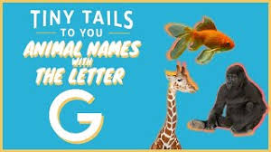 You can now select the most convenient ones for your project easily from wordmom.com. Animals That Start With G List Of Amazing Animals Beginning With G Cute766