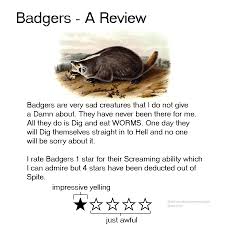 15 Animal Reviews That Are Just Pure Genius In 2020 Funny Animal Memes Funny Animals Animal Memes