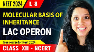 Molecular Basis Of Inheritance 💥| Lac Operon 🧬| CBSE Class 12 Biology🎯|  NEET 2024🩺