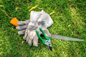 Use your fingers to pick off any. Pruning Tool Sterilization When Do You Need To Clean Garden Tools