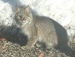 Random pictures from Berlin in the last month or so.