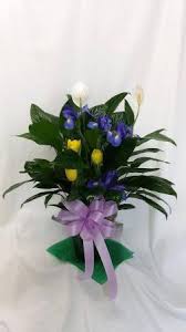 Chrysanthemums are typical funeral flowers around the world. Funeral Flowers From Green Gardens Florist Gift Shop Your Local Norway Me