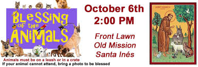Modern orthodox jews tend to adhere more closely than conservative or reform jews to the commandments of jewish law, said rabbi leora kaye, the director of programming for the union for reform judaism. Blessing Of Animals Old Mission Santa Ines
