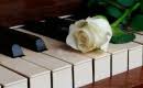 De beste koormuziek van claudia de breij vind je op chorusonline! Mag Ik Dan Bij Jou Playback Piano Claudia De Breij Instrumentale Versie