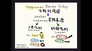 Mengenal pasti benda hidup dan benda bukan hidup. Kegunaan Benda Hidup Dan Benda Bukan Hidup Youtube