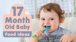 17 Months Old Baby Food Ideas Along With Recipes