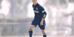 Dejad de molestar a mi familia. Chicharito Hernandez Defiende A Su Coach Diego Dreyfus El Informador