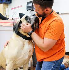 Bob, gary and young doctor carpenter are great guys. Veterinary Doctors In Shawnee Shawnee Animal Hospital