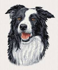 Maybe you would like to learn more about one of these? Border Collie Cross Stitch Pattern By Crosstitch Com Crosstitch Com