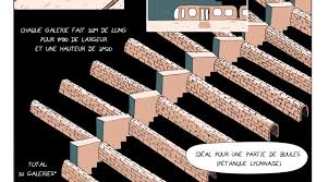 Les Arêtes de Poisson de Lyon, la bd – Le Petit Carnet