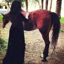 صور خيول رمزيات خيول جميلة خلفيات خيول 2016 arab swag oriental looks arab girls