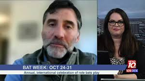 Now Desk: Celebrating bats across Michigan