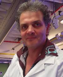 Amanda Reichelt-Brushett Editor