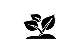 Download Plant Flower Leaf Agriculture Icon Graphic By Hoeda80 Creative Fabrica PSD Mockup Templates