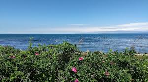 Abashiri Quasi-National Park (2025) - All You Need to Know BEFORE You Go  (with Reviews)