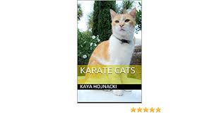 A fun educational game created by complete control.find out more here: Karate Cats Kindle Edition By Hojnacki Kaya Hojnacki Kaya Literature Fiction Kindle Ebooks Amazon Com