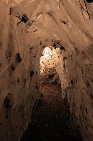 The guest scares were got on live camera which you can see here, or click on the link during the walk through. 129 World S Insanest Scary Halloween Haunted House Ideas Homesthetics Inspiring Ideas For Your Home