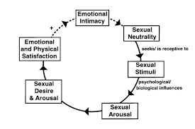 Watch nature arouses teen libido online on youporn.com. The Misunderstood Science Of Sexual Desire