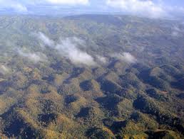 Maybe you would like to learn more about one of these? Huge Earthquake Causes Major Damage In Bohol Philippines Ambassador Report Our Actions Tunza Eco Generation