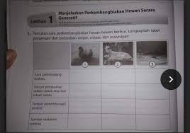 Bantu Jawab Kak Plisss Brainly Co Id