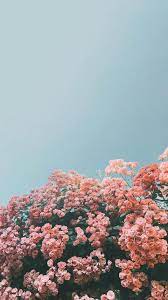 36 Elegant Flower Wallpapers You Need To Save Page 33 Of 36 Soopush Flower Iphone Wallpaper Aesthetic Iphone Wallpaper Sunflower Wallpaper