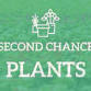 Plant+Flower Sale!!! by Second Chance Plants