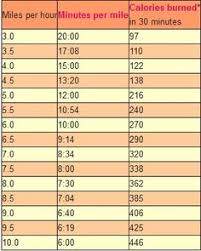 Or even around 4 hours of shopping for you shopaholics out there! 40 Minutes Treadmill Calories Burned