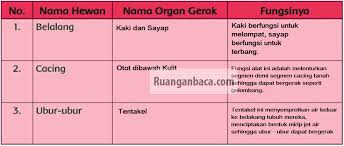 We did not find results for: Lengkap Kunci Jawaban Soal Tematik Kelas 5 Tema 1 Halaman 41 42 43 44 45 46 49 Kurikulum 2013 K13 Ruangan Baca