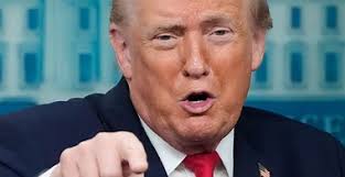 Travelers signals $3.3B fixed income NII outlook for 2026 as AI investments  reshape operations